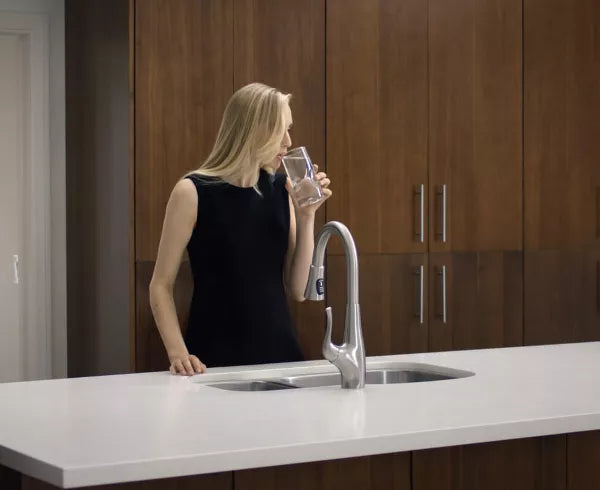 Enhance Your Home with PoshHaus.com: Why Pfister Earns the Top Spot