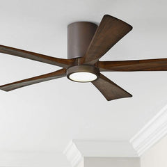 Ceiling Fans With Lights