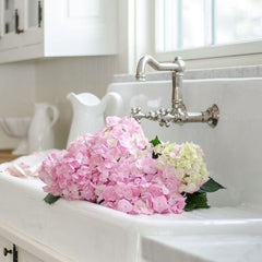 Wall Mount Kitchen Sink Faucets