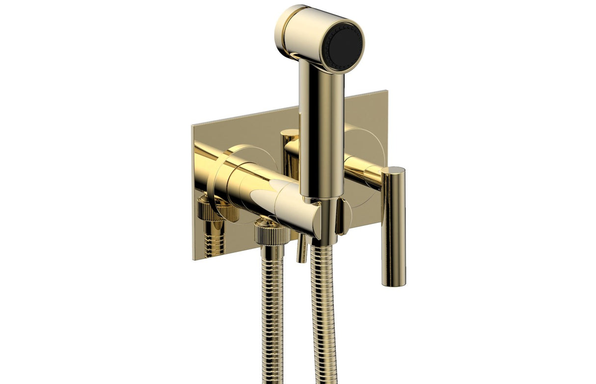 Phylrich 120-65-03U TRANSITION - Wall Mounted Bidet, Lever Handle 120-65 - Polished Brass Uncoated
