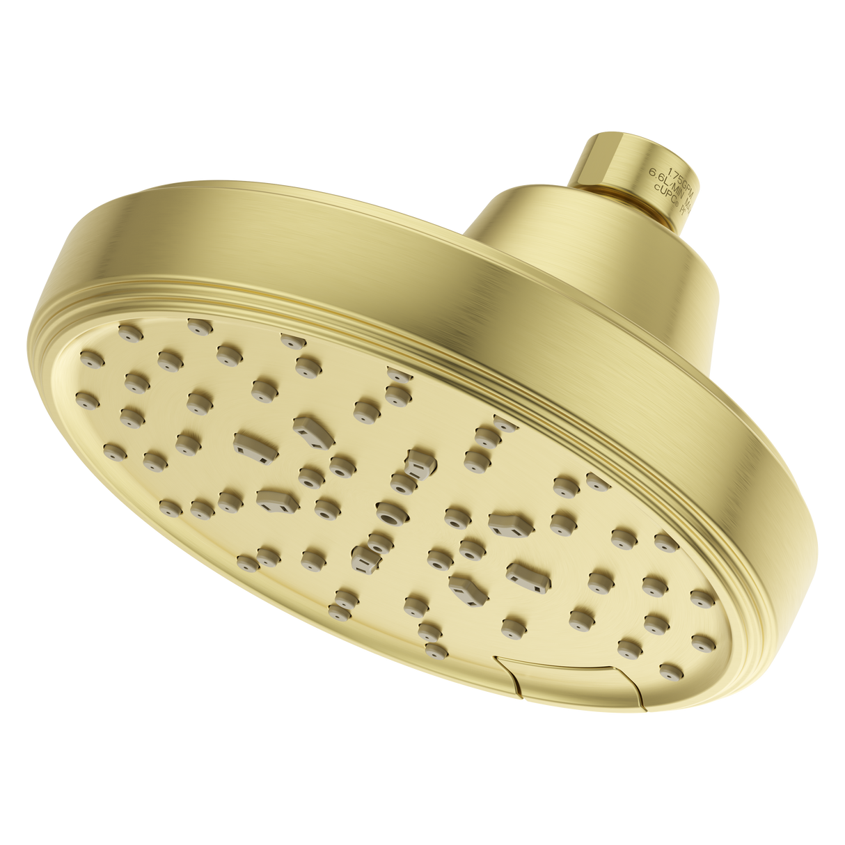 Transitional Round Universal Showerhead in Brushed Gold