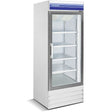 23 Cuft. Single Door Merchandiser Freezer PoshHaus