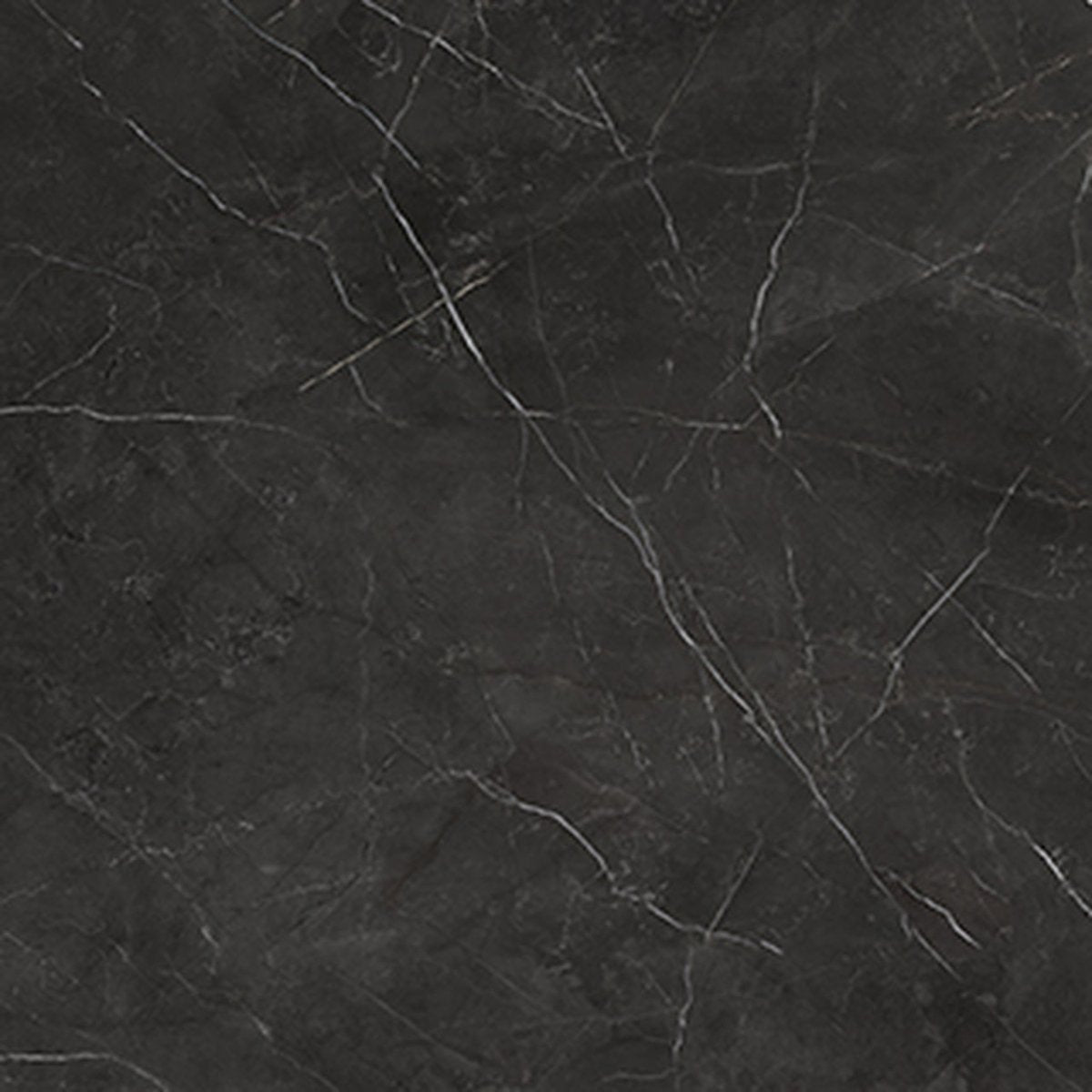 Anatolia Tile 24X24 La Marca Nero Polished & Rectified 4500-0861-0 Nero Venato 24x24 Polished - premium natural stone mosaic tile from Anatolia Tile, available at PoshHaus showroom in Keene, NH