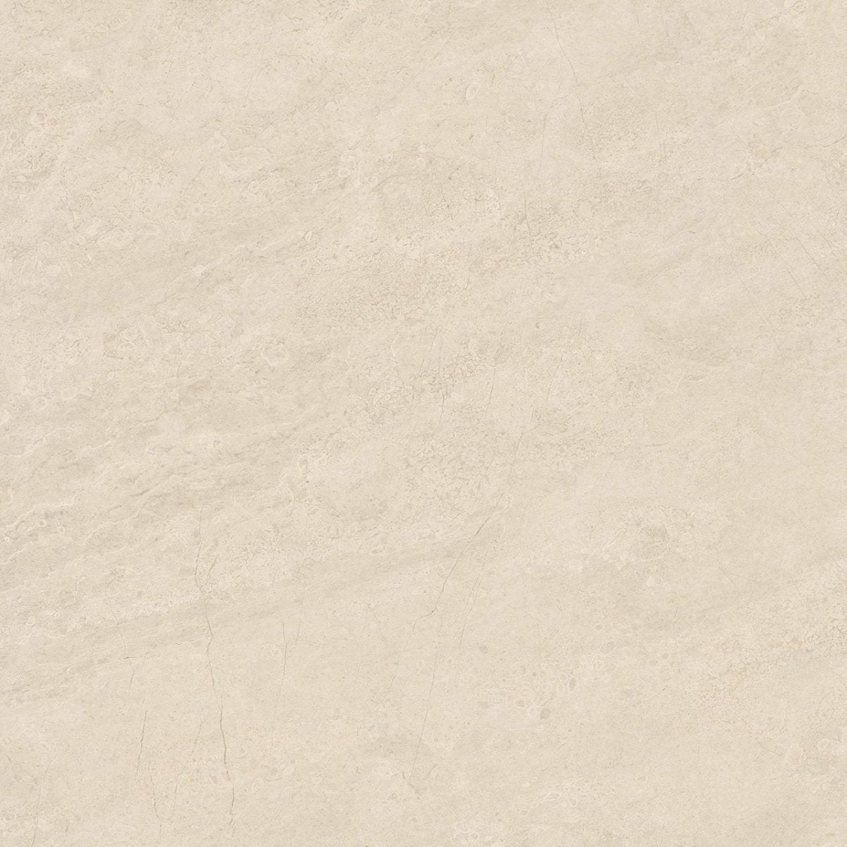 Anatolia Tile 24X24 Mayfair Allure Ivory Matte Rectified Porcelain 4500-0367-1 Allure Ivory 24x24 Matte - premium natural stone mosaic tile from Anatolia Tile, available at PoshHaus showroom in Keene, NH