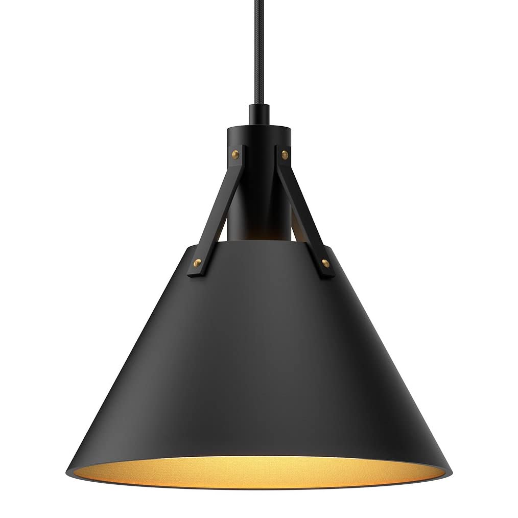 Alora PD584510MB ARCHER 10" PD MATTE BLACK CORD 72 1X60W E26