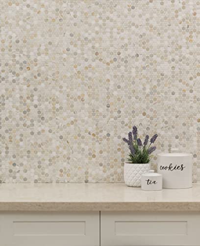 MSI Athena Gold 12 in. x 12 in. (CASE) Pennyround Honed Marble Mesh Mounted Mosaic Tile for Bathroom, Kitchen Backsplash, Accent Wall Tile, and Shower Wall Tile, Sample