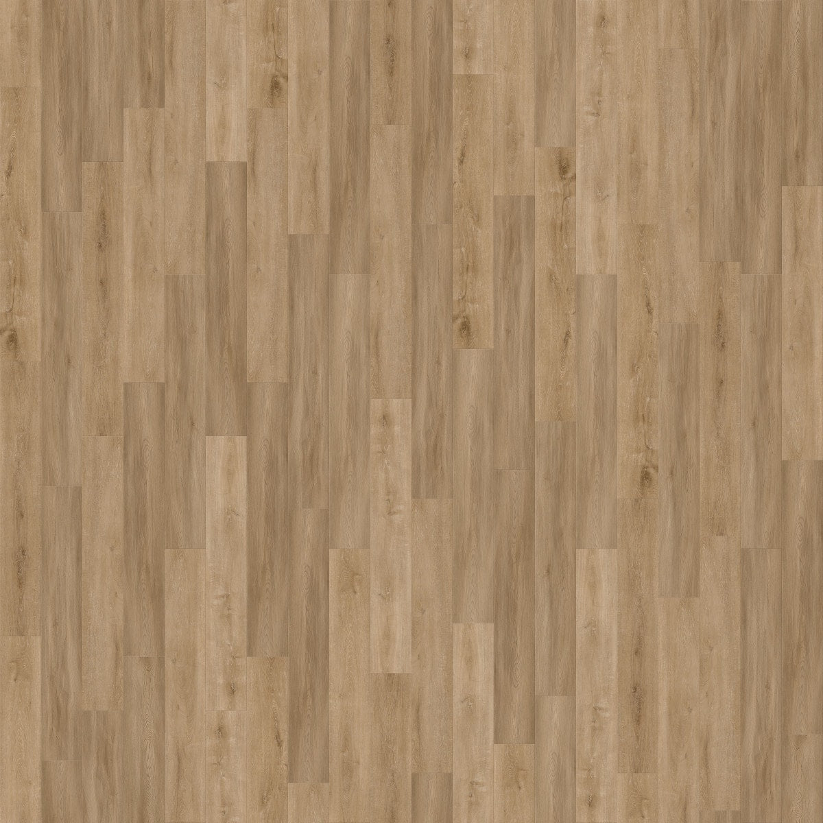 CALI Golden Hour Oak Legends Extra Wide Click (Angle-Angle) (Covers 22.44 SQFT) 7902600200
