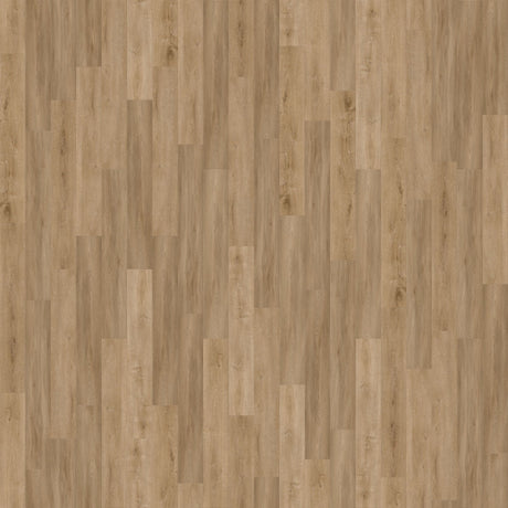 CALI Golden Hour Oak Legends Extra Wide Click (Angle-Angle) (Covers 22.44 SQFT) 7902600200