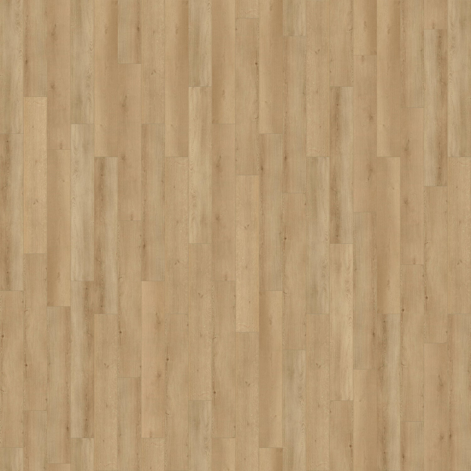 CALI Sandbar Oak Longboards Extra Wide Click (Covers 26.62 SQFT) 7902501500