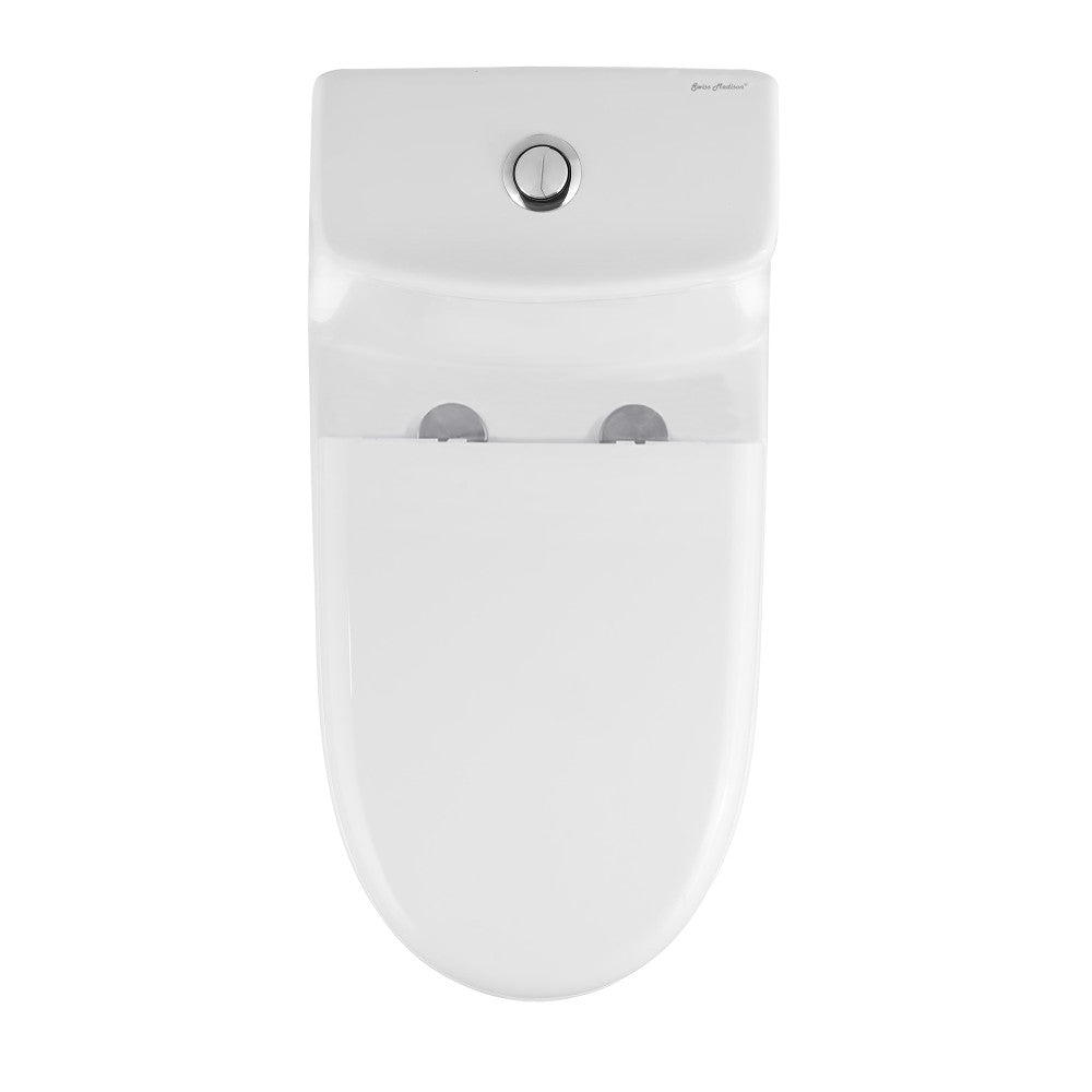 Ivy One-Piece Elongated Toilet Vortex Dual-Flush 1.1/1.6 gpf