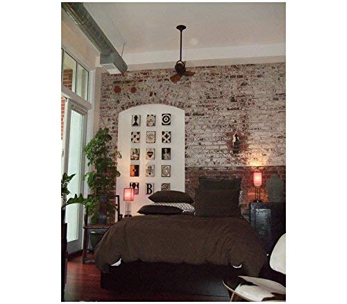 Matthews Fan DI-BN-WD Diane oscillating ceiling fan in Brushed Nickel finish with solid mahogany tone wood blades.