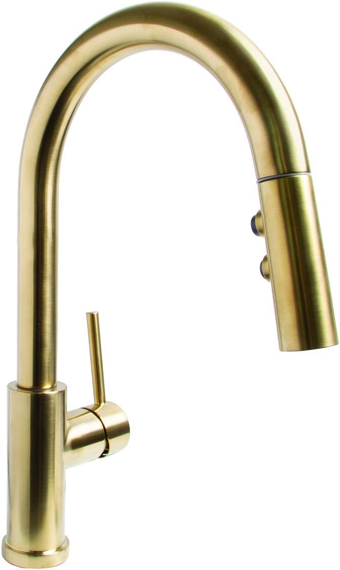 Speakman SB-1042-BRB Kitchen-Sink-faucets, Aged Brass