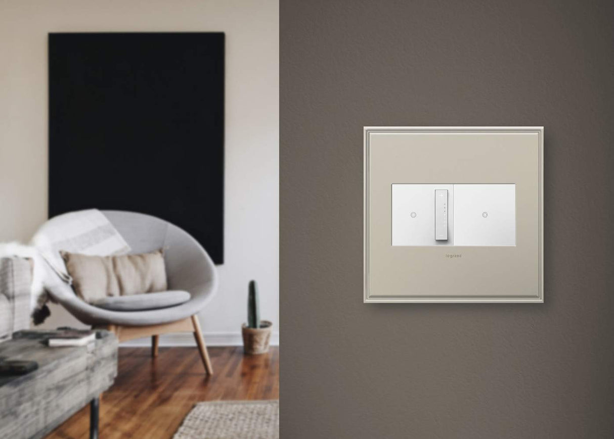 Legrand Adorne Brushed Stainless Steel, 2-Gang Wall Plate AWC2GBS4