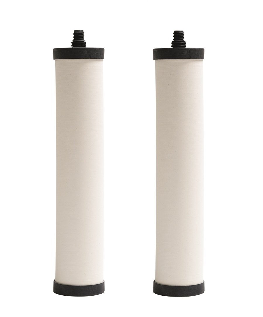 FRANKE FRC06-2PK FILTER CARTRIDGE CHLORINE 2PACK