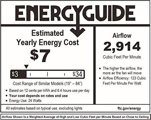 Matthews Fan IR5H-BK-MWH-60 Irene-5H five-blade flush mount paddle fan in Matte Black finish with 60” solid matte white wood blades.