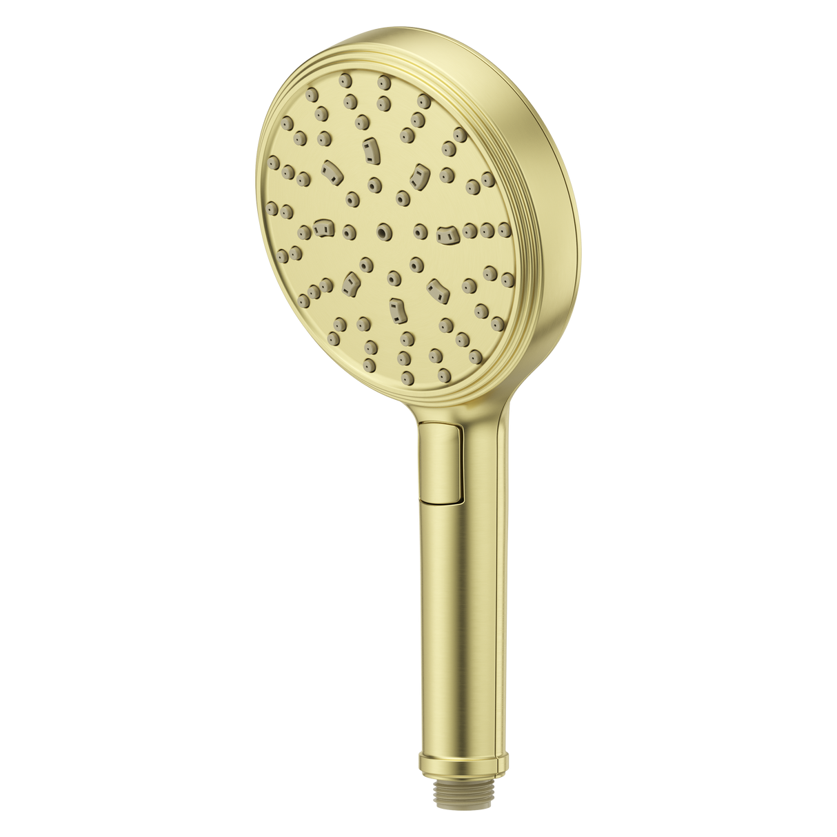 Transitional Round Hand Shower in Brushed Gold
