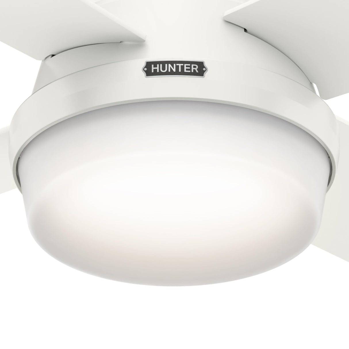 Hunter Fan Dempsey Low Profile Ceiling Fans with Lights and Remote, Flush Mount Ceiling Fan with Lights, Metal, Brushed Nickel Finish, 44 Inch LED