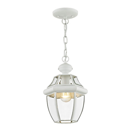 Livex Lighting 2152-03 Monterey 1-Light Outdoor Hanging Lantern, White