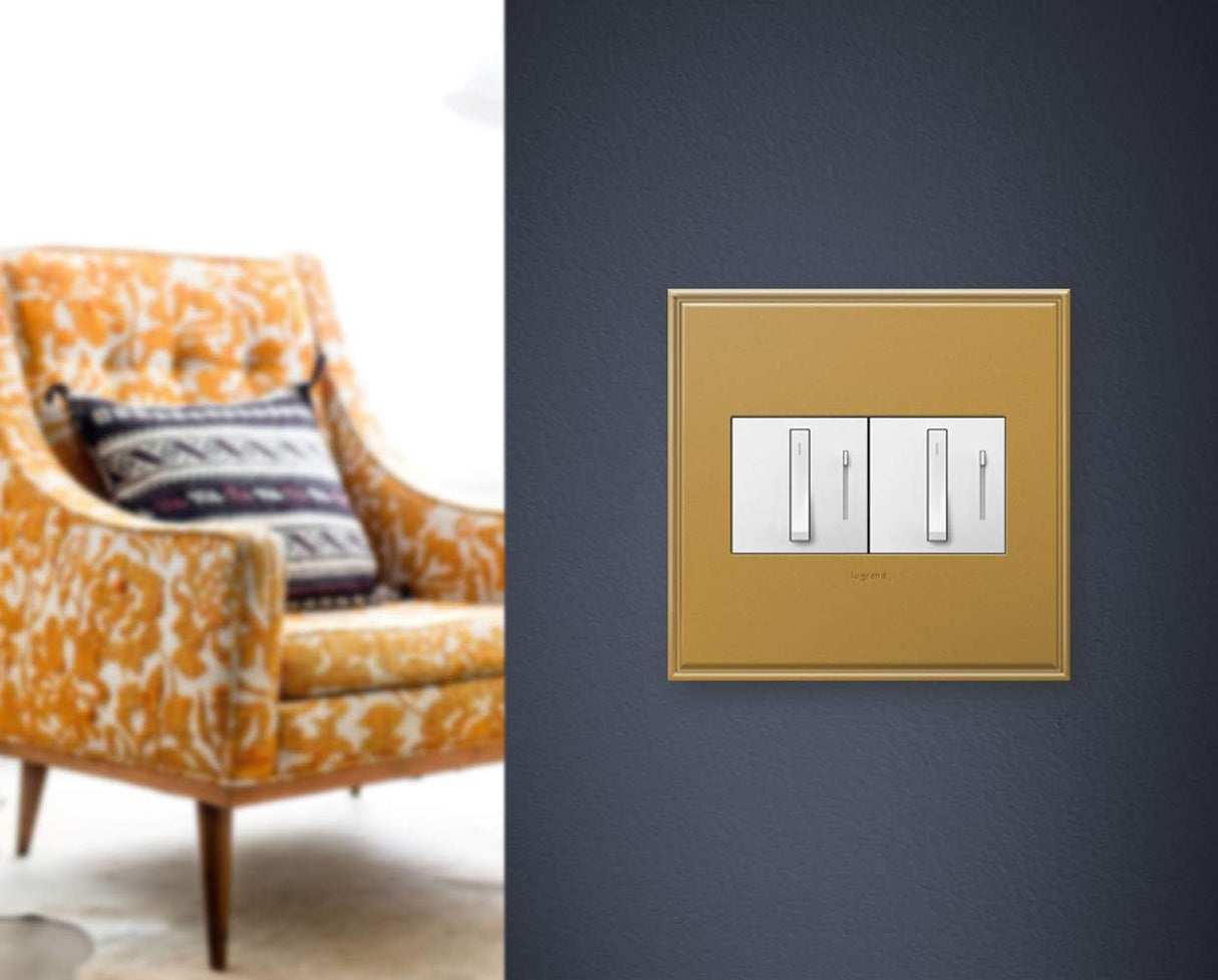 Legrand Adorne Brushed Stainless Steel, 2-Gang Wall Plate AWC2GBS4