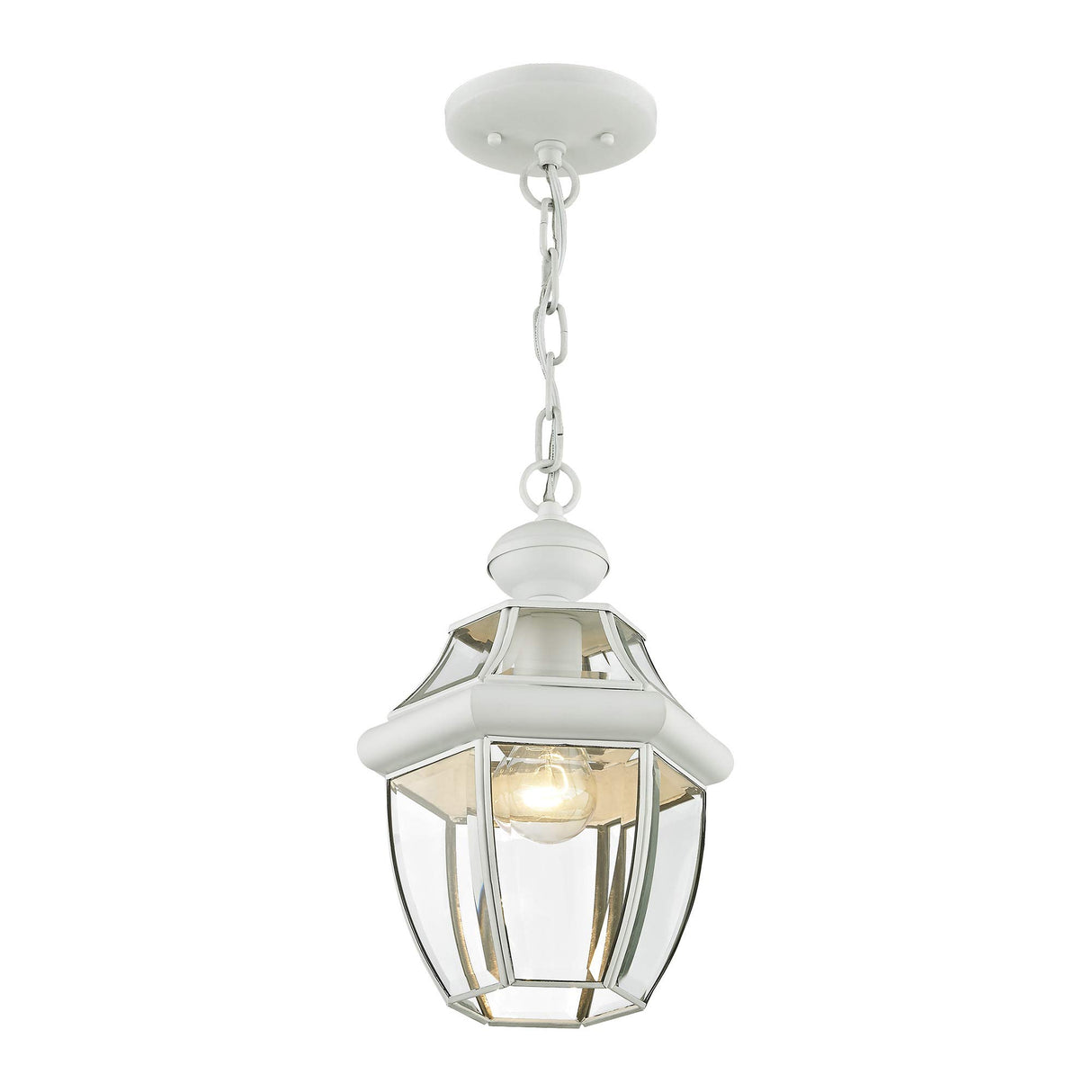 Livex Lighting 2152-03 Monterey 1-Light Outdoor Hanging Lantern, White