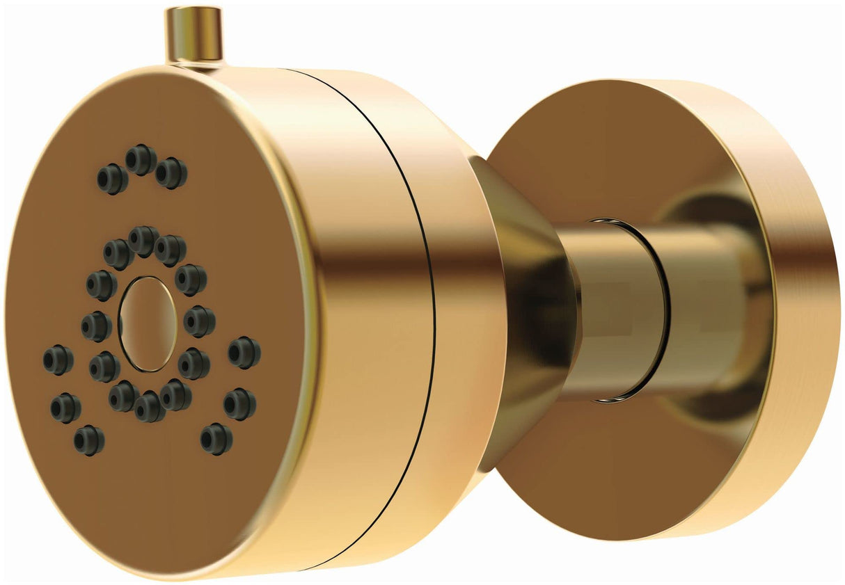 Gerber D460258BB Brushed Bronze Parma Two Function Wall Mount Body Spray