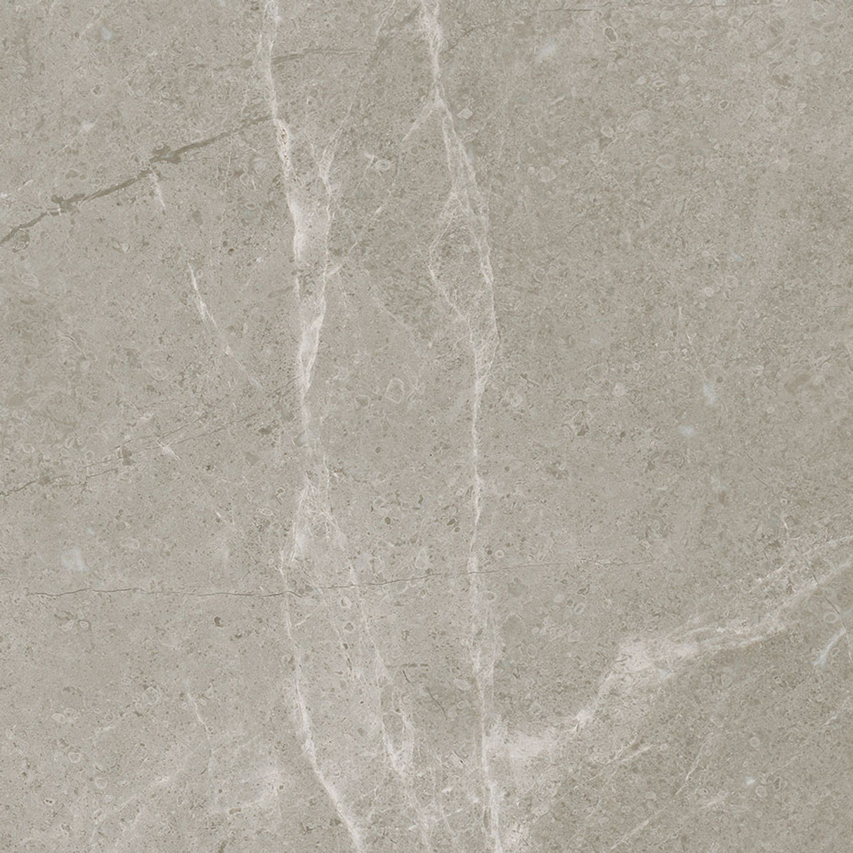 Anatolia Tile 13X13 Torino Vanizio Matte Porcelain Tile 63-655 - premium natural stone mosaic tile from Anatolia Tile, available at PoshHaus showroom in Keene, NH