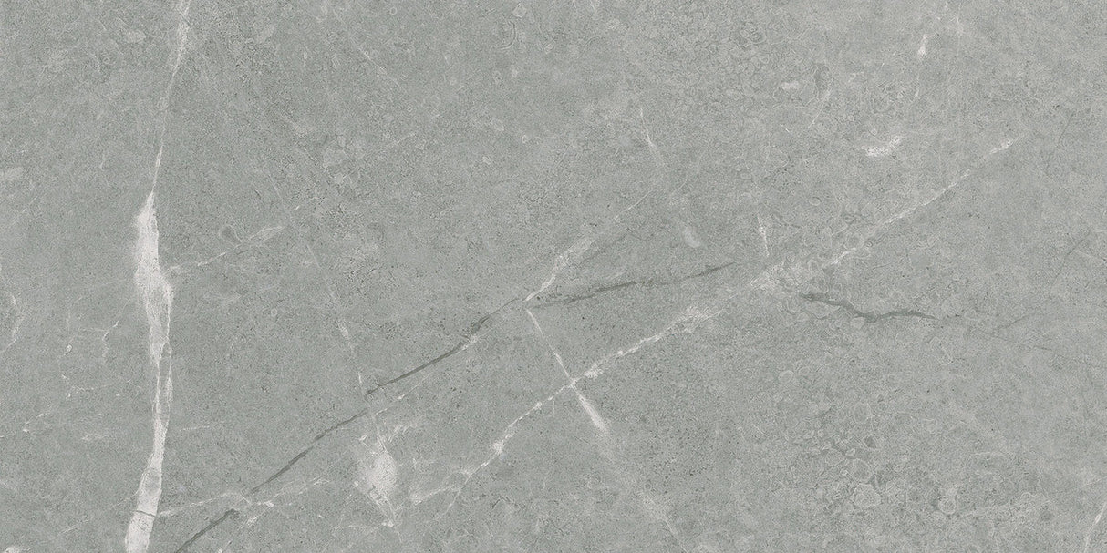 Anatolia Tile 12X24 Torino Argento Matte Porcelain Tile 69-398 - premium natural stone mosaic tile from Anatolia Tile, available at PoshHaus showroom in Keene, NH