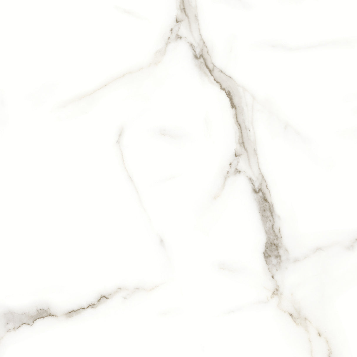 Anatolia Tile 24X24 Mayfair Calacatta Oro Polished Rectified Porcelain 4500-0377-1 Calacatta Oro 24x24 Polished - premium natural stone mosaic tile from Anatolia Tile, available at PoshHaus showroom in Keene, NH