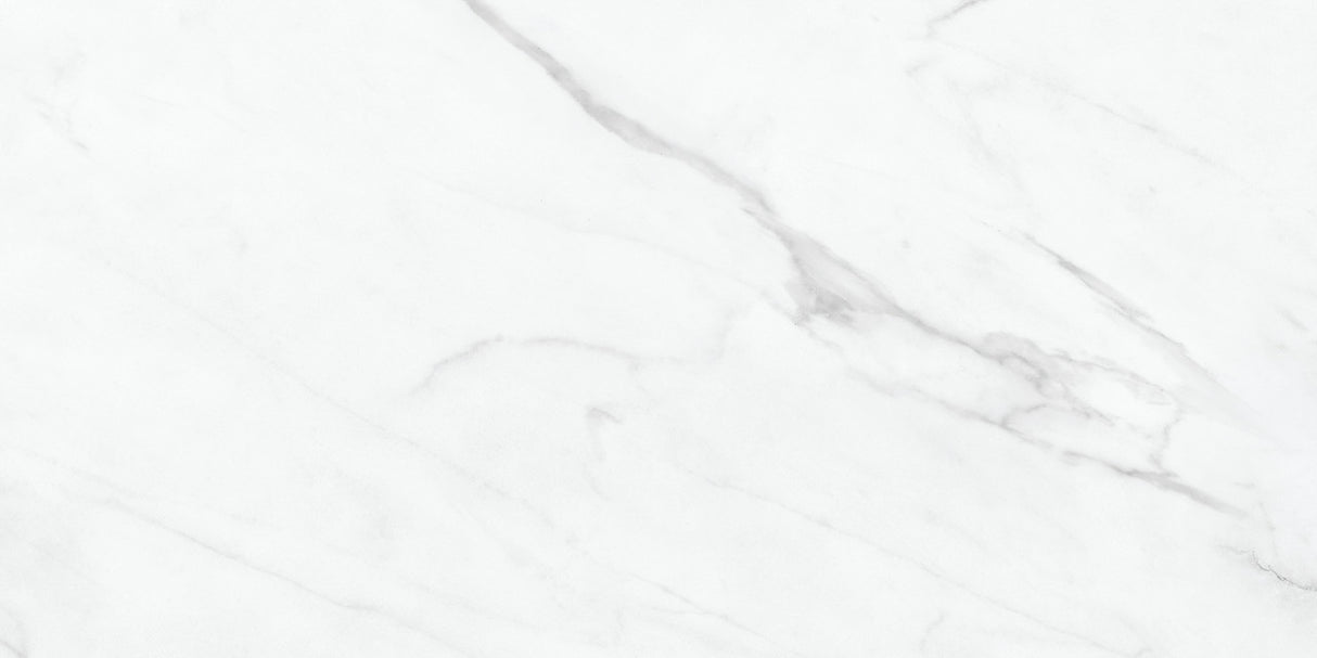 Anatolia Tile 12X24 Altezza Carrara Matte Porcelain Tile 69-993 - premium natural stone mosaic tile from Anatolia Tile, available at PoshHaus showroom in Keene, NH