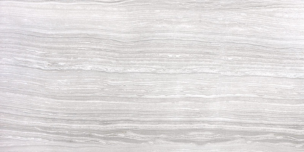 Anatolia Tile 12X24 Eramosa Polished Ice Rectified Porcelain Tile 69-840 - premium natural stone mosaic tile from Anatolia Tile, available at PoshHaus showroom in Keene, NH