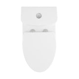 Fulton One-Piece Elongated Toilet Dual-Flush 1.1/1.6 gpf