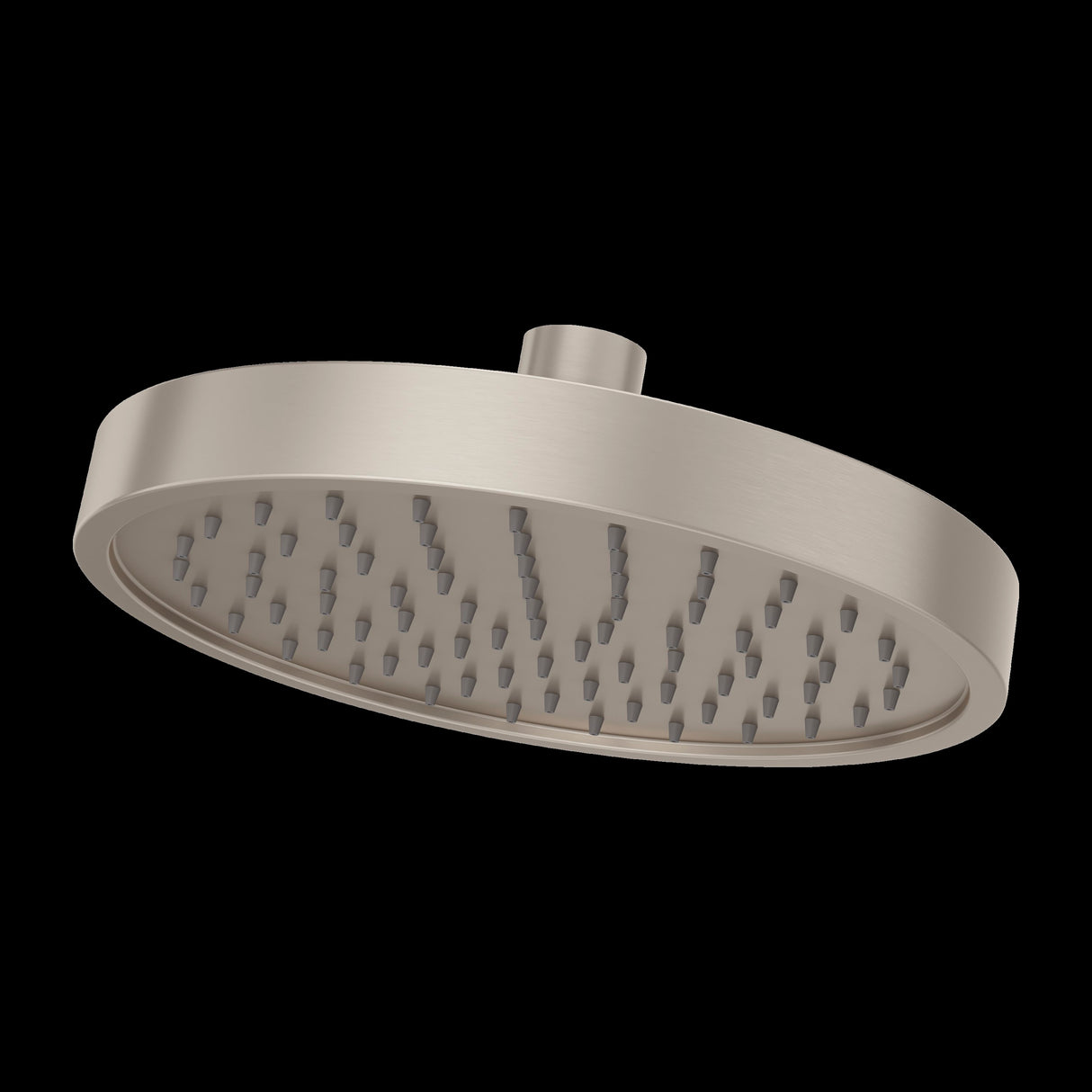 Contempra Single Function Raincan Showerhead in Brushed Nickel