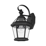 Livex Lighting 2061-02 Outdoor Wall Lantern with Clear Flat Glass Shades, Polished Brass