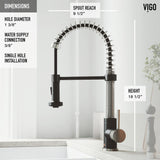 VIGO VG02001STMBK1 19" H Edison Single-Handle with Pull-Down Sprayer Kitchen Faucet with Deck Plate in Stainless Steel/Matte Black