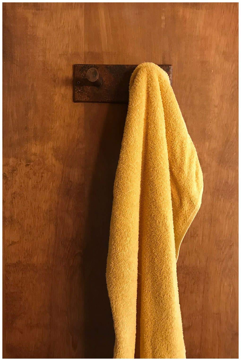 Premier Copper Products RH2 Wall Mounted Double Robe Hook, Oil Rubbed Bronze