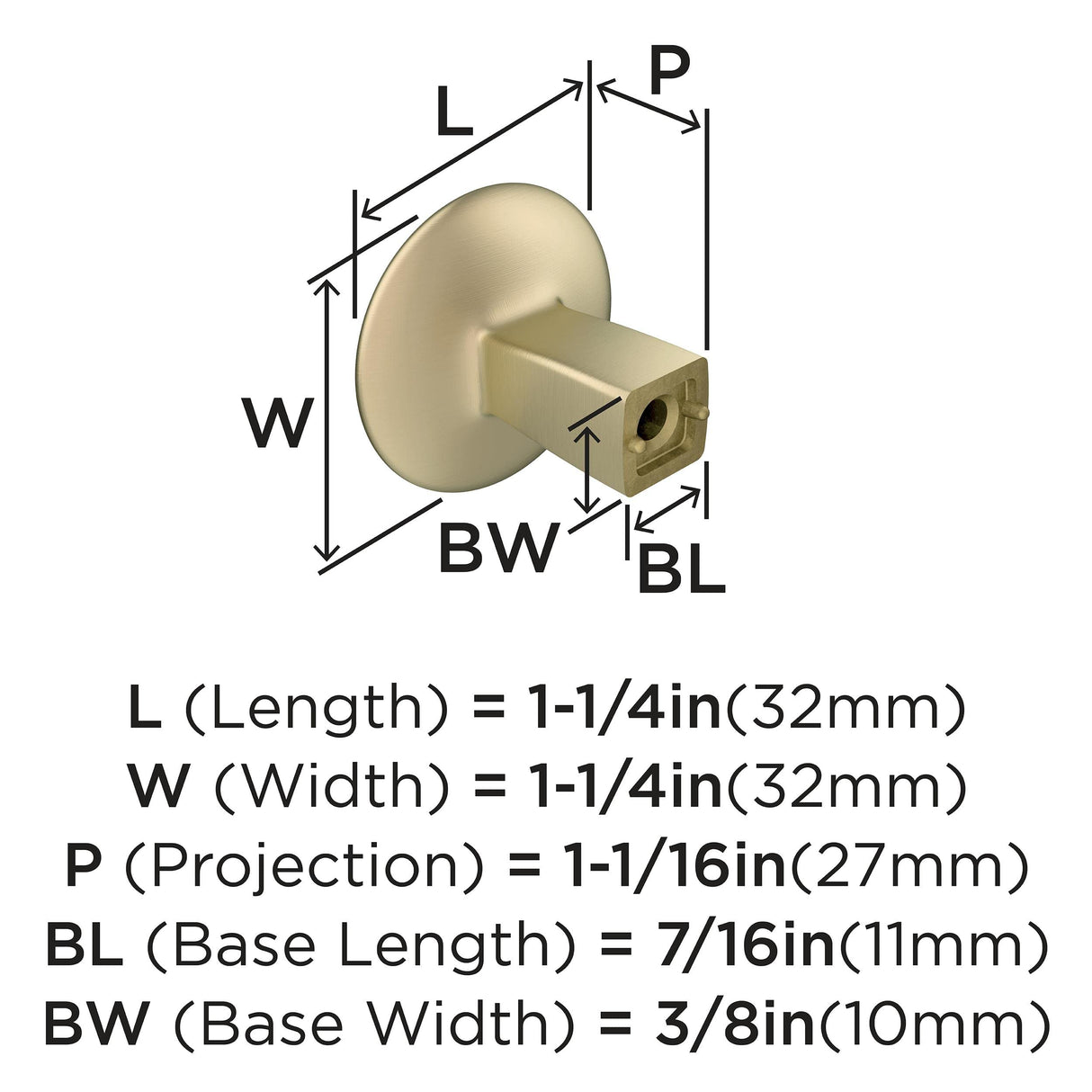 Amerock Cabinet Knob Golden Champagne 1-1/4 inch (32 mm) Diameter Riva 1 Pack Drawer Knob Cabinet Hardware