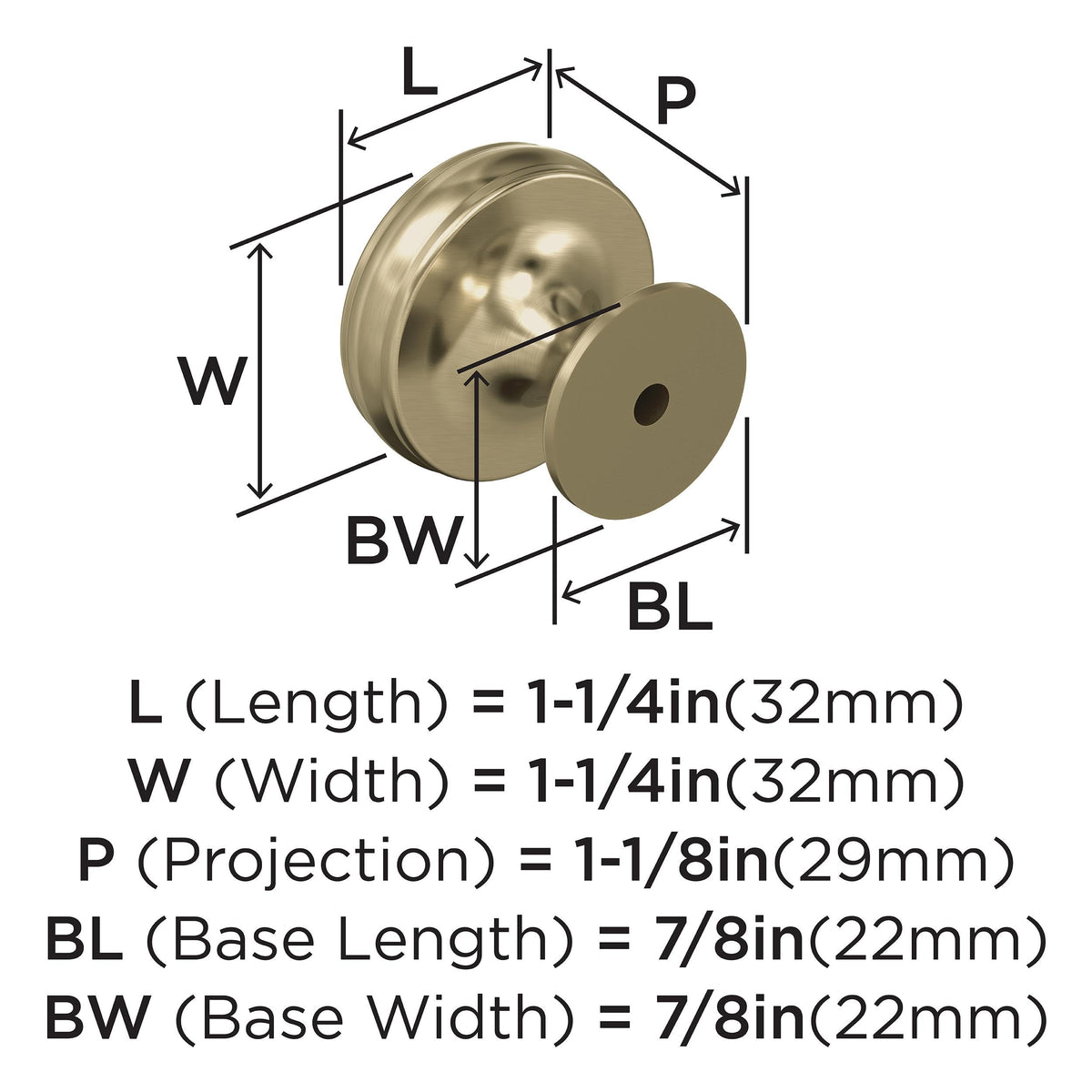 Amerock Cabinet Knob |Golden Champagne 1-1/4 in (32 mm) Diameter Drawer Knob Renown Kitchen and Bath Hardware Furniture Hardware