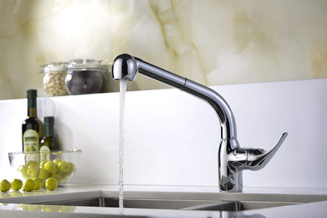 Anzzi Harbour Pull Out Spray 1.53 GPM Kitchen Faucet
