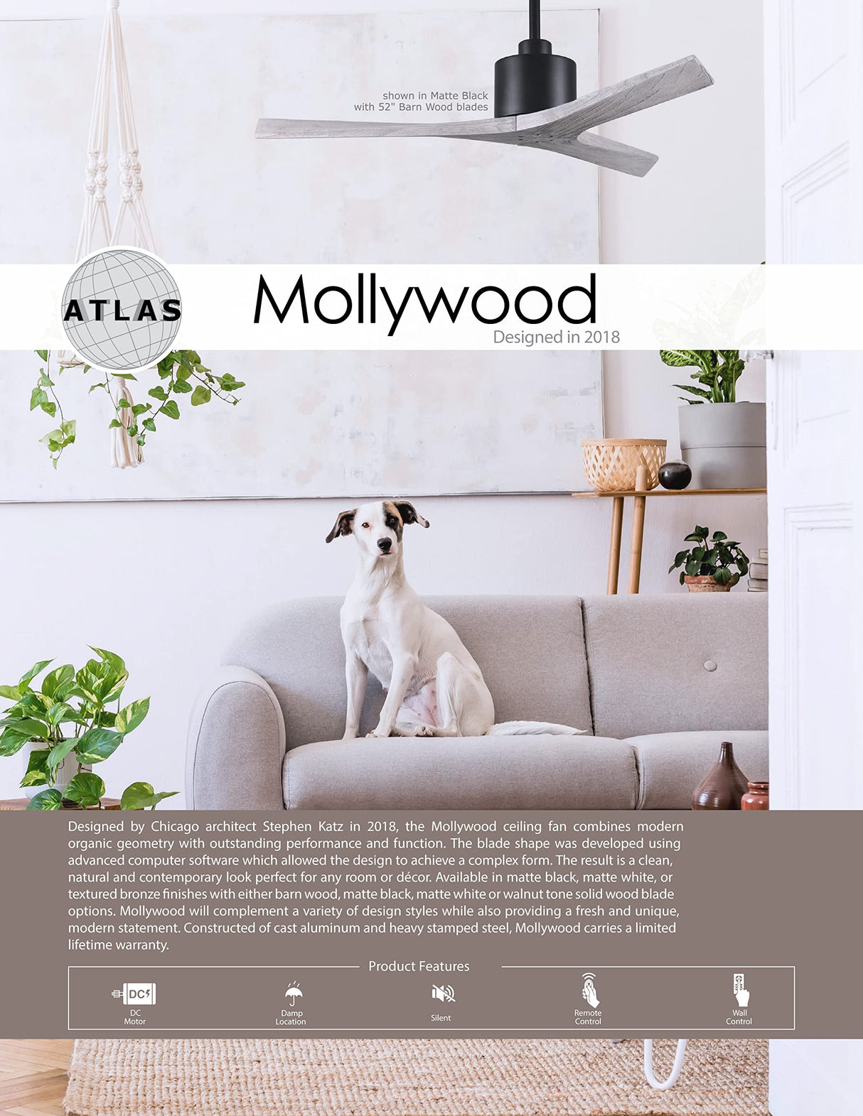 Matthews Fan MW-BRBR-MWH-60 Mollywood 6-speed contemporary ceiling fan in Brushed Brass finish with 60” solid matte white wood blades