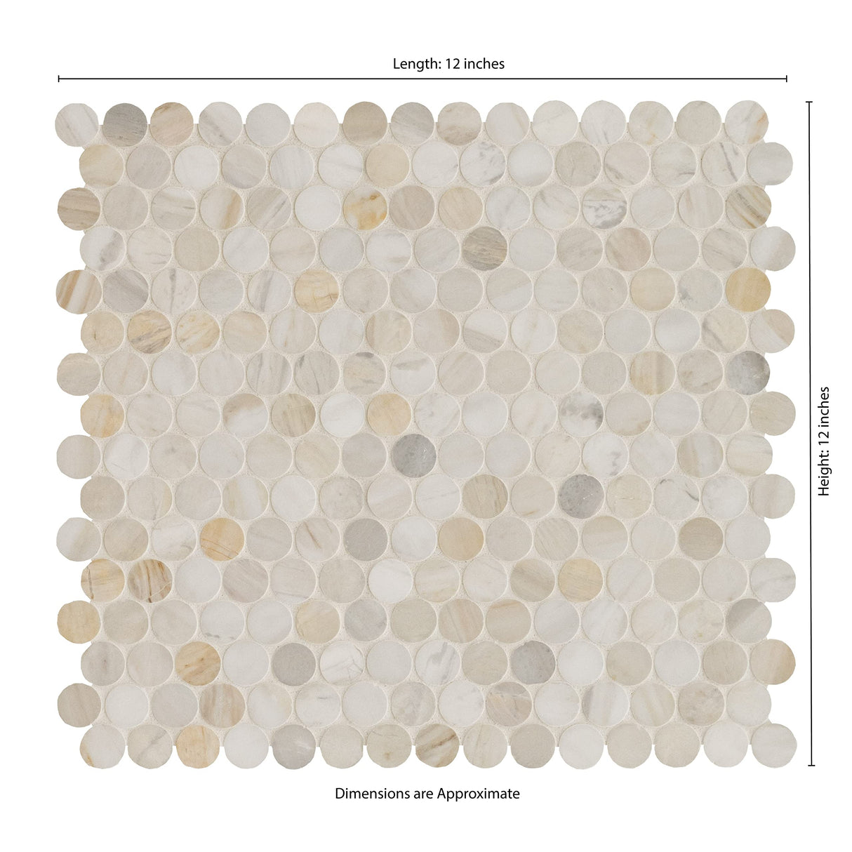 MSI Athena Gold 12 in. x 12 in. (CASE) Pennyround Honed Marble Mesh Mounted Mosaic Tile for Bathroom, Kitchen Backsplash, Accent Wall Tile, and Shower Wall Tile, Sample