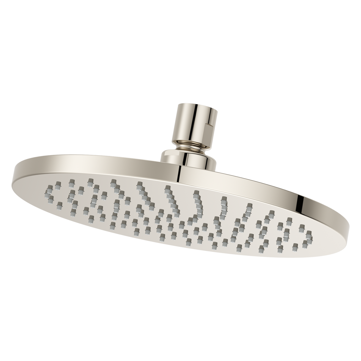 Modern Round 8 in. Raincan Showerhead in Polished Nickel