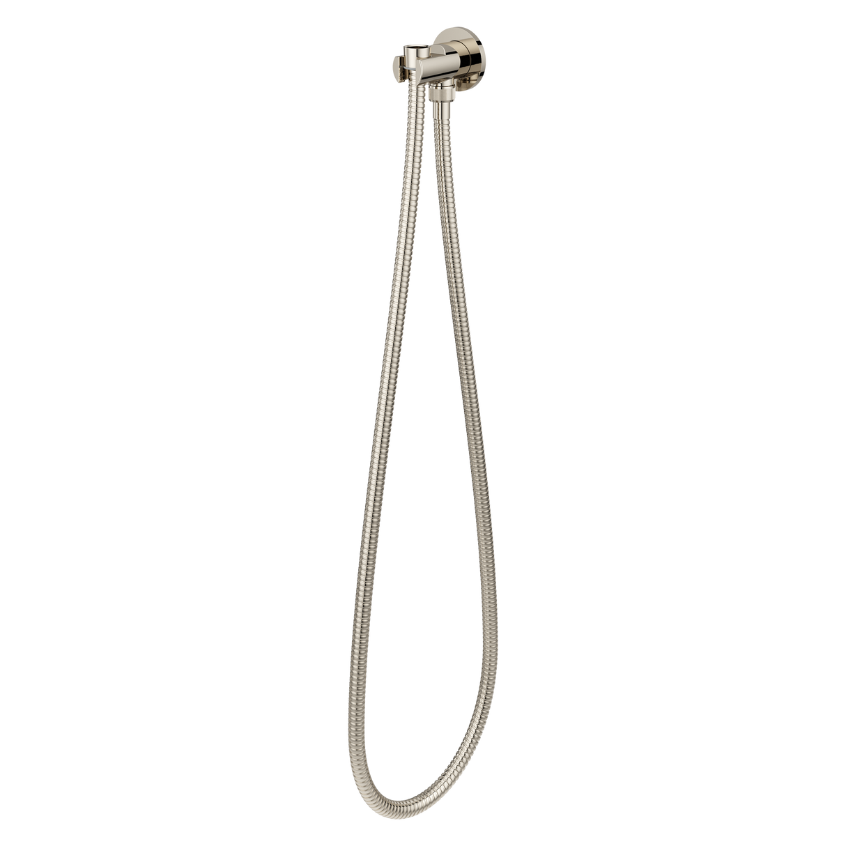 Modern Round 2-Piece Handheld Shower Kit with 60 in. Hose in Polished Nickel