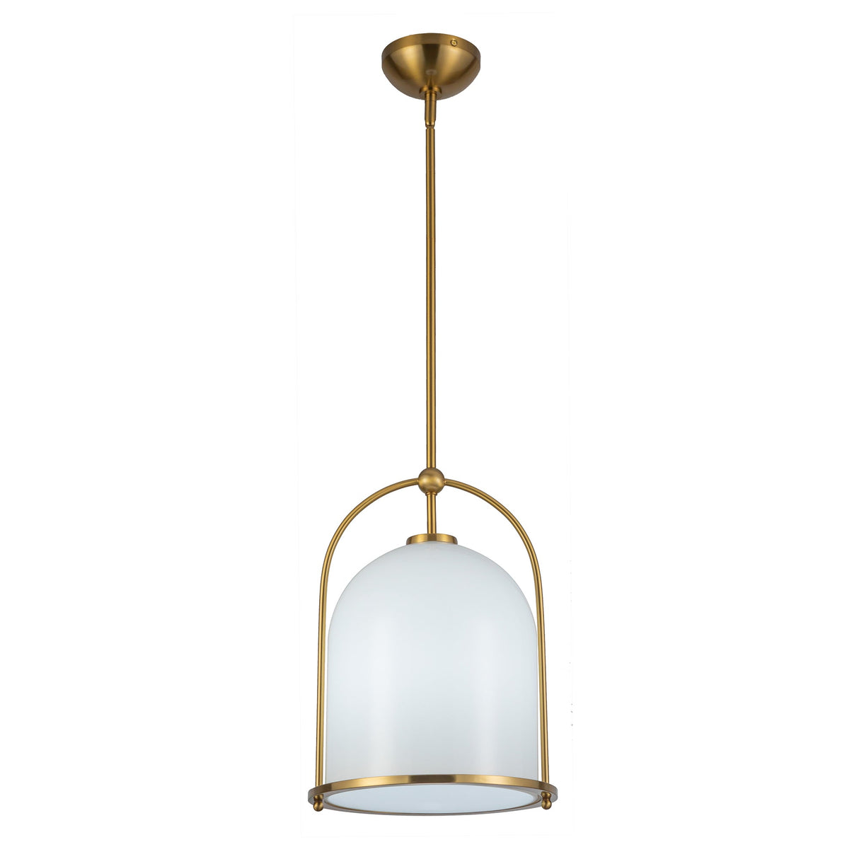 Dahlia Framed Pendant - Brushed Brass