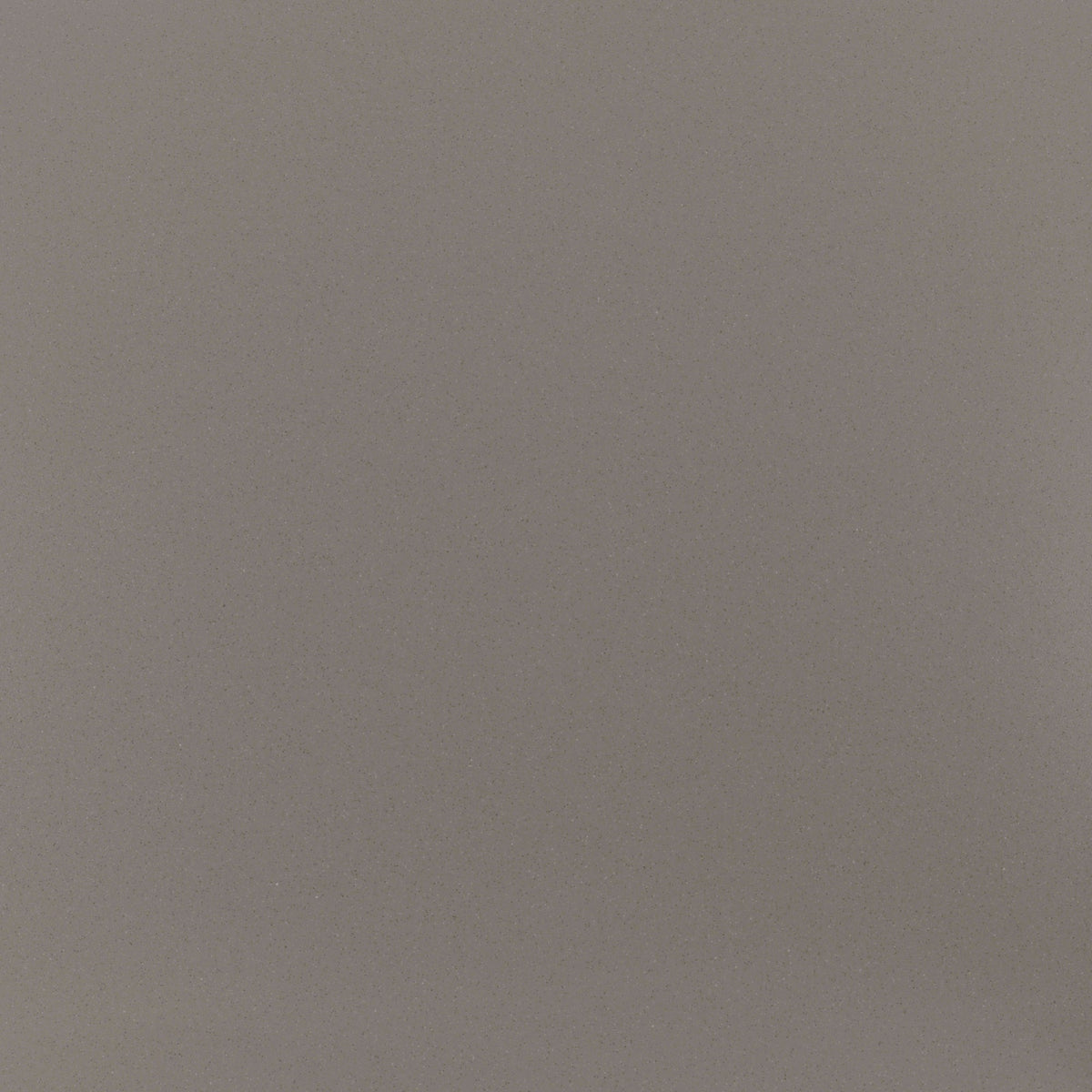 Daltile Median Taupe Square 24x24 Polished Floor Tile