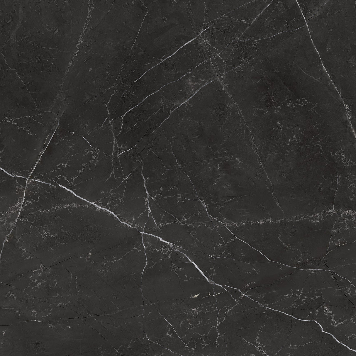 Anatolia Tile 24X24 La Marca Nero Honed & Rectified 4500-0869-0 Nero Venato 24x24 Honed - premium natural stone mosaic tile from Anatolia Tile, available at PoshHaus showroom in Keene, NH