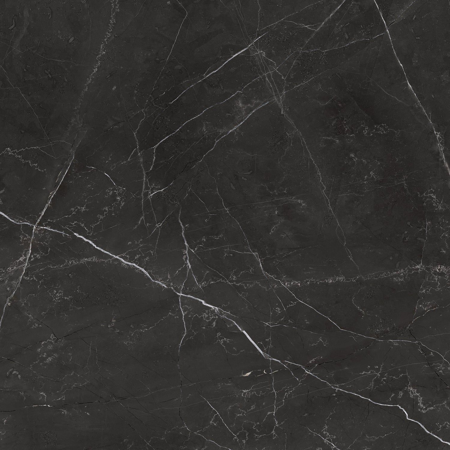 Anatolia Tile 24X24 La Marca Nero Polished & Rectified 4500-0861-1  - premium natural stone mosaic tile from Anatolia Tile, available at PoshHaus showroom in Keene, NH
