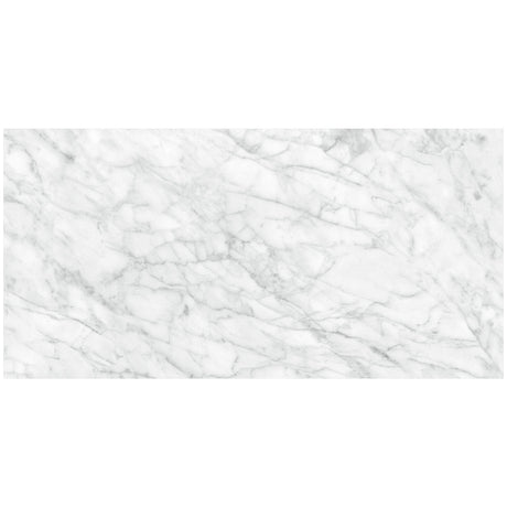 Anatolia Tile 24X48 Plata Carrara P Polished 4500-0959-0 Carrara Abisso 24x48 Polished - premium natural stone mosaic tile from Anatolia Tile, available at PoshHaus showroom in Keene, NH