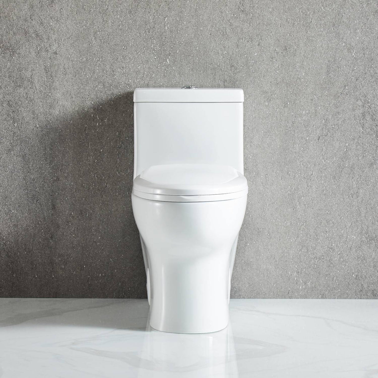 Blossom T9 01 1.1 / 1.6 GPF Dual Flush White One Piece Toilet With Slow-closing Seat Cover