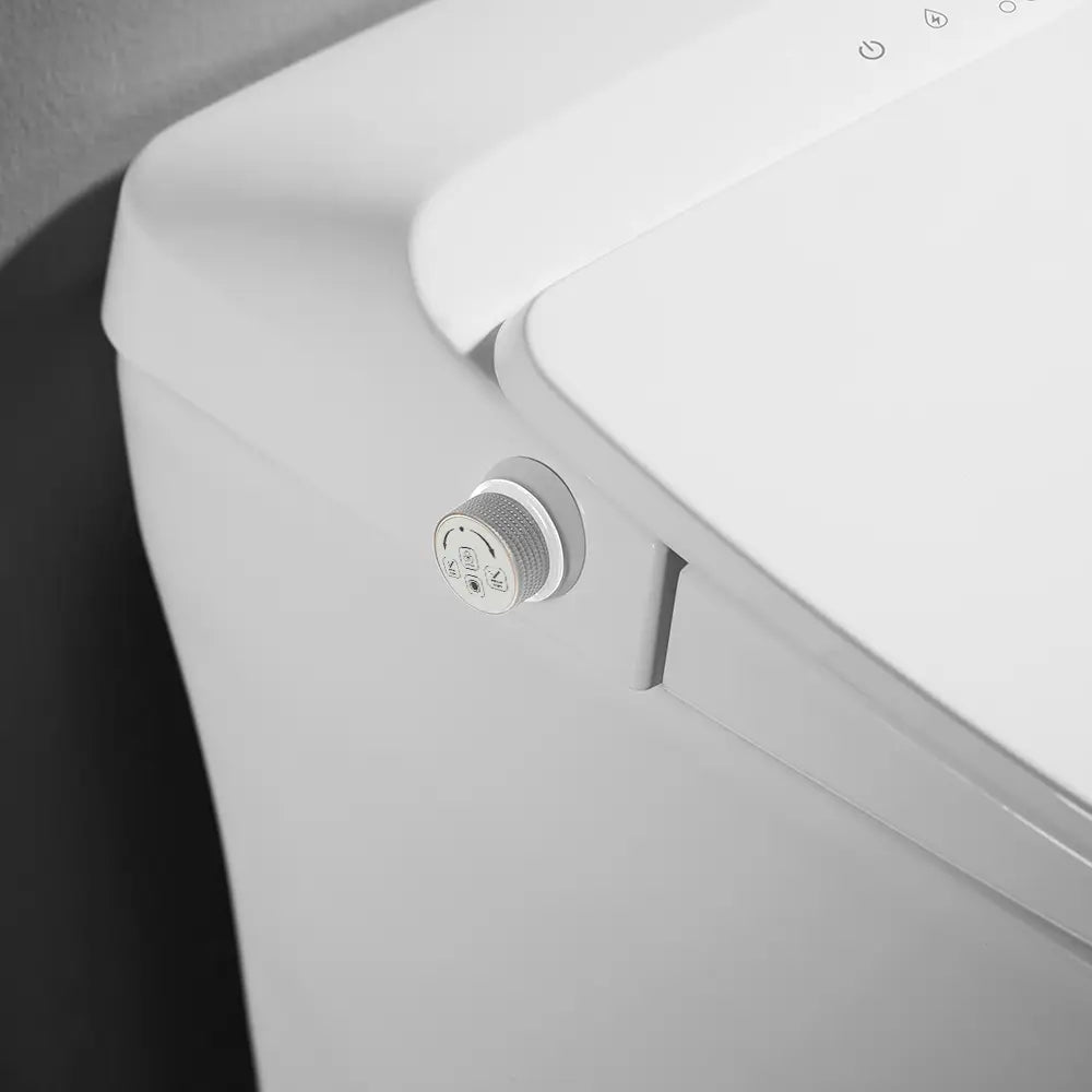 ICERA iWash CS-18 Integrated Bidet Toilet (includes seat, bowl and remote) White CS-18.01