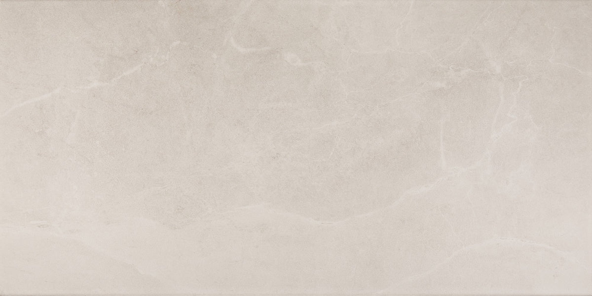 Daltile Advantage Portrait White Rectangle 12x24 Matte Floor Tile